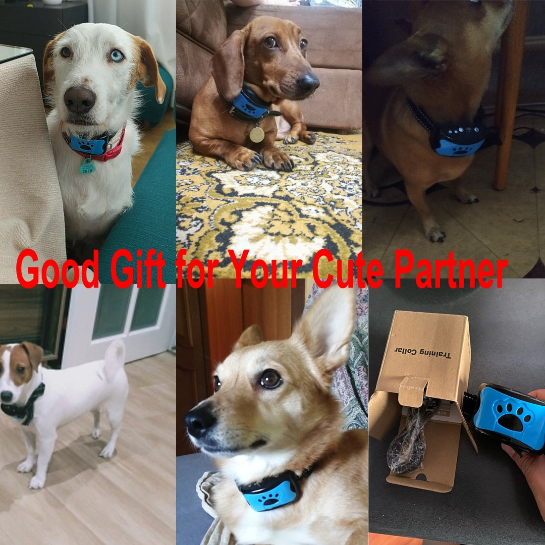 Pet Dog Anti Barking Device USB Electric Ultrasonic Dogs Training Collar