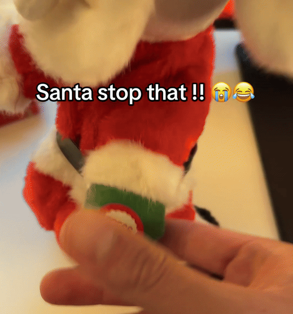 Dancing Santa Buddy for Holiday Fun