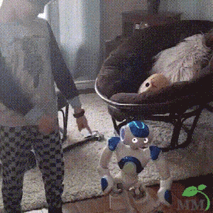 Gesture-Controlled Smart Robot Toy