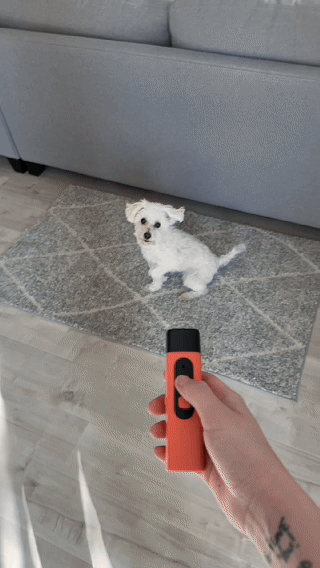 BarkControl Buddy