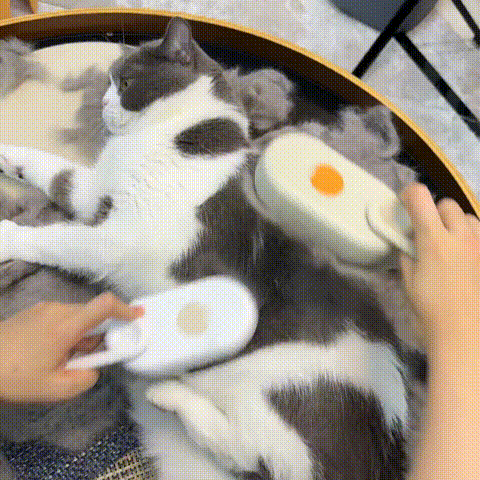 Purrrfect Care Comb