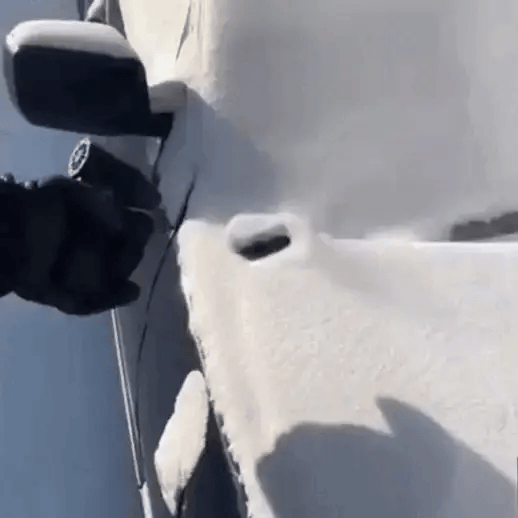 Neslemy Winter Turbo Blower Pro